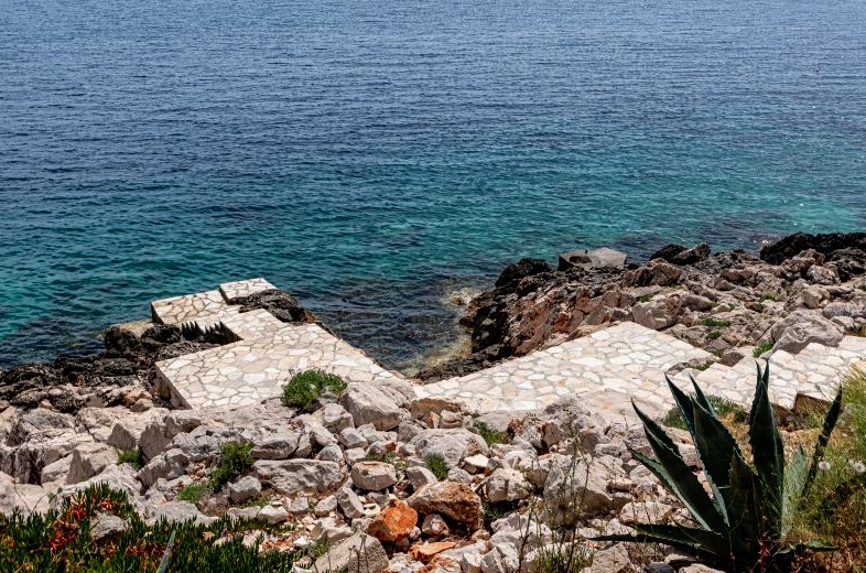 Screen Shot 2023-01-31 at 12.38.43