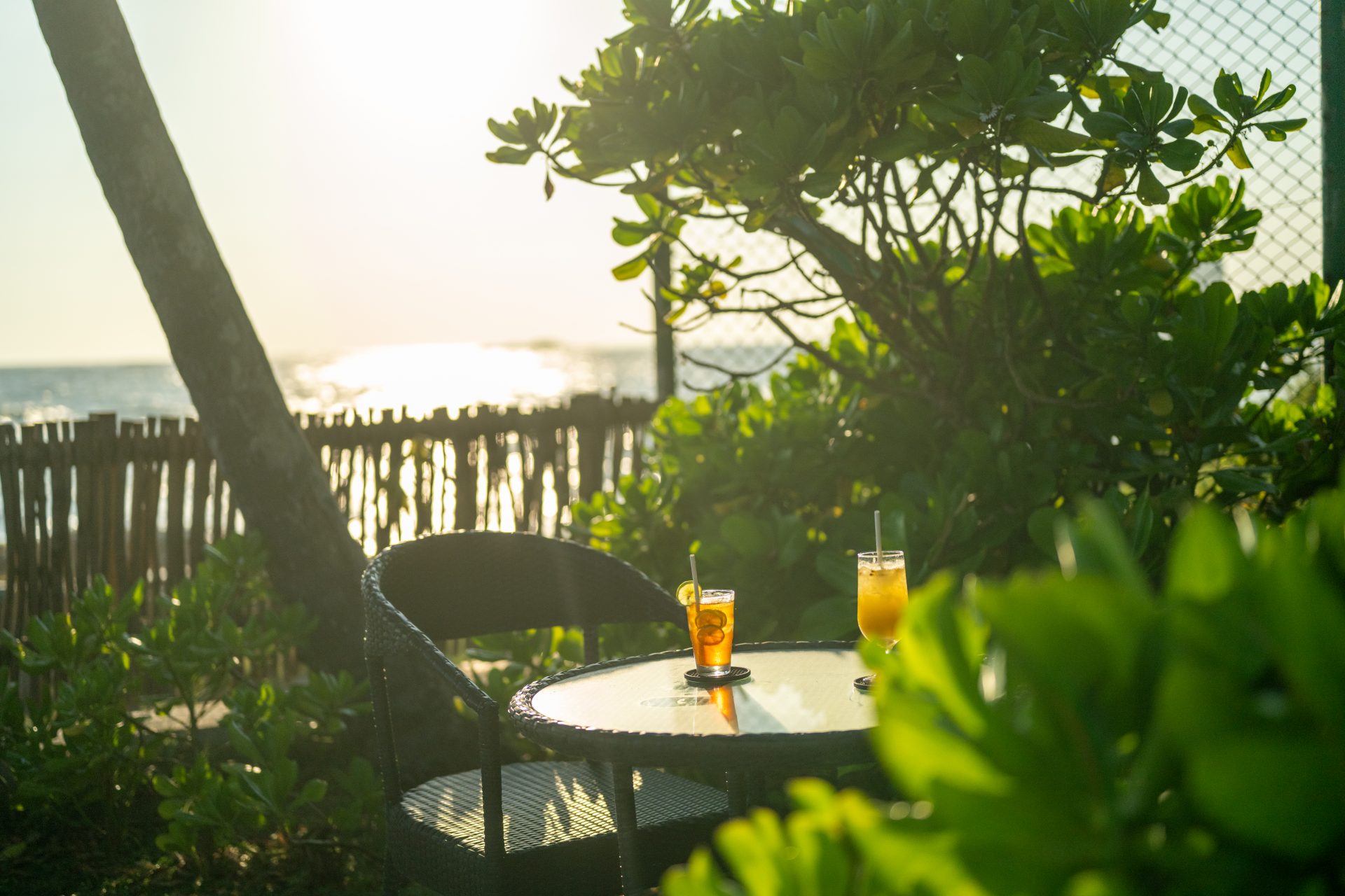 Luxury_Villa_Living_Unawatuna_Beach_Villa_Sri_Lanka21 Unawatuna Beach Villa Gardens