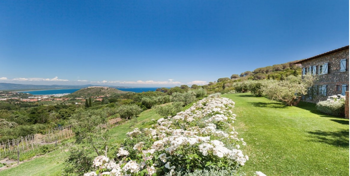 Screen Shot 2024-08-02 at 10.29.56