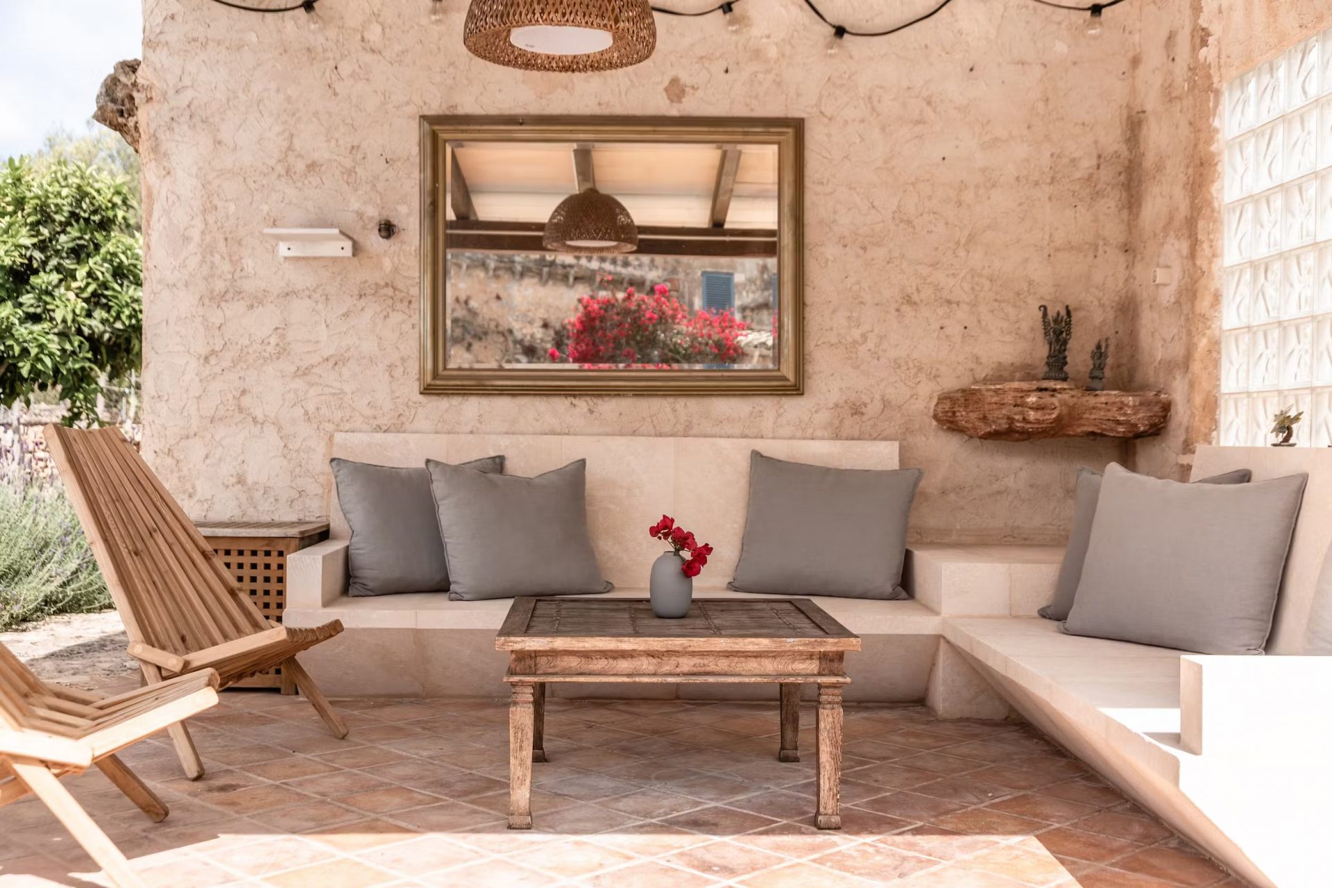 can_papaya_05042023_032332257