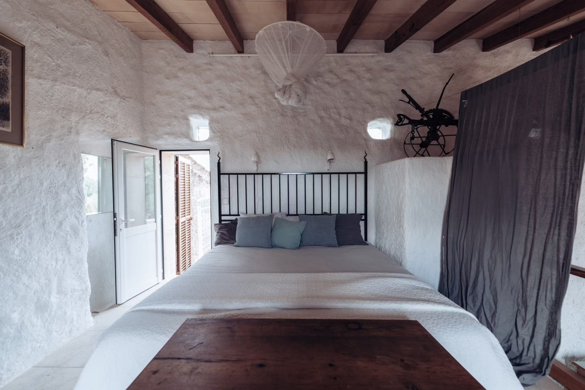 can_papaya_05042023_032333850