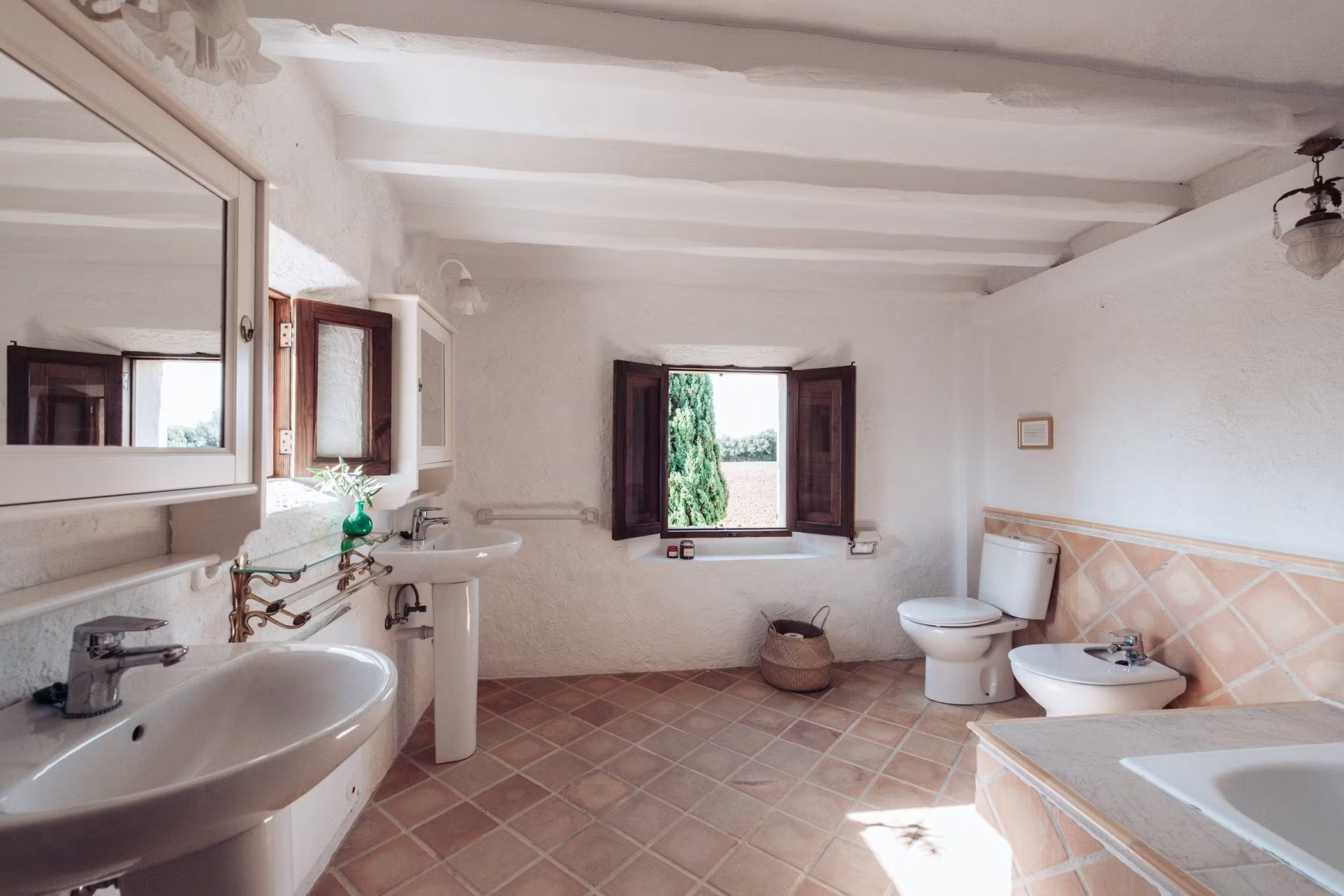 can_papaya_05042023_032334038