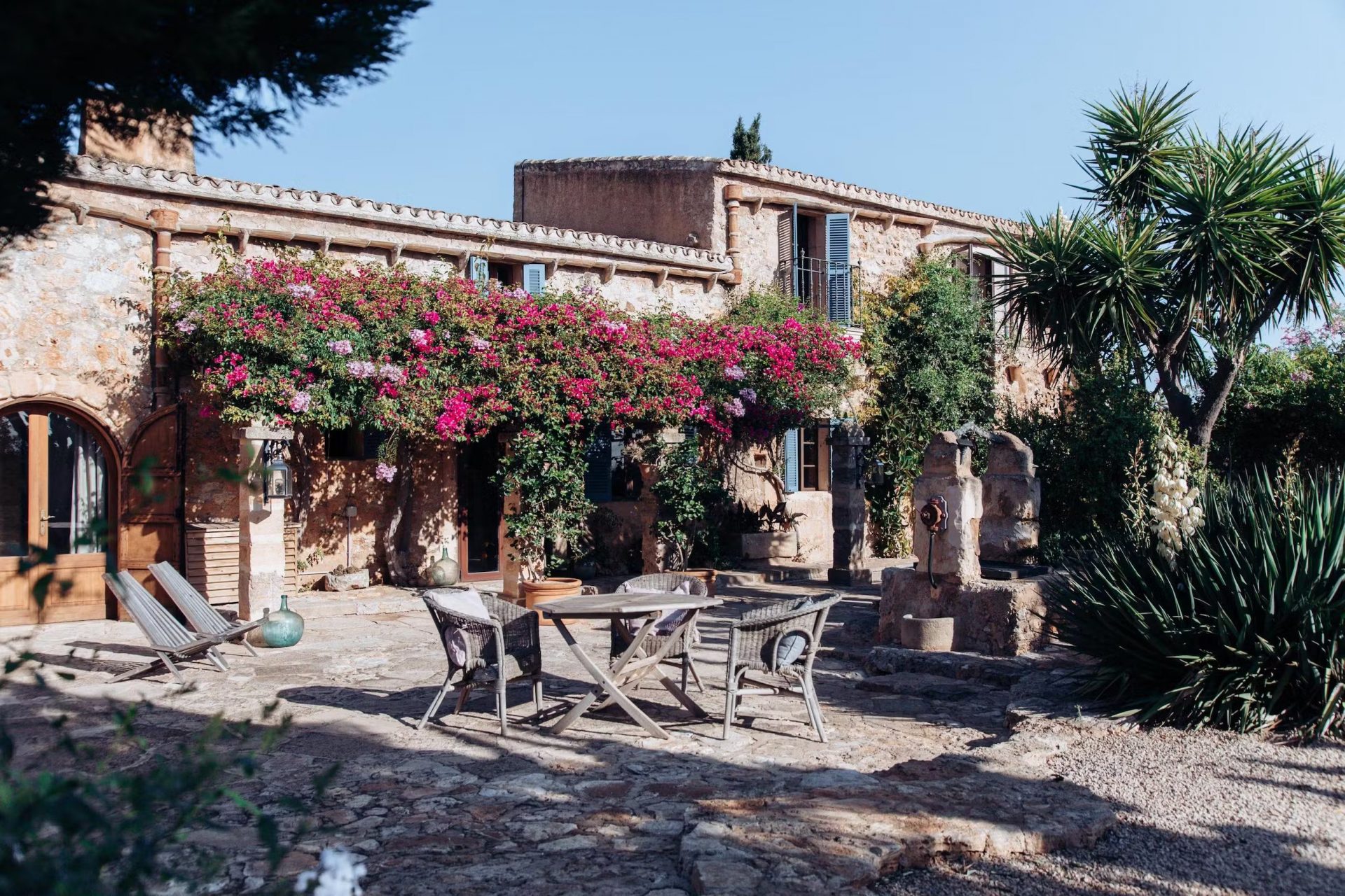 can_papaya_05042023_032334491