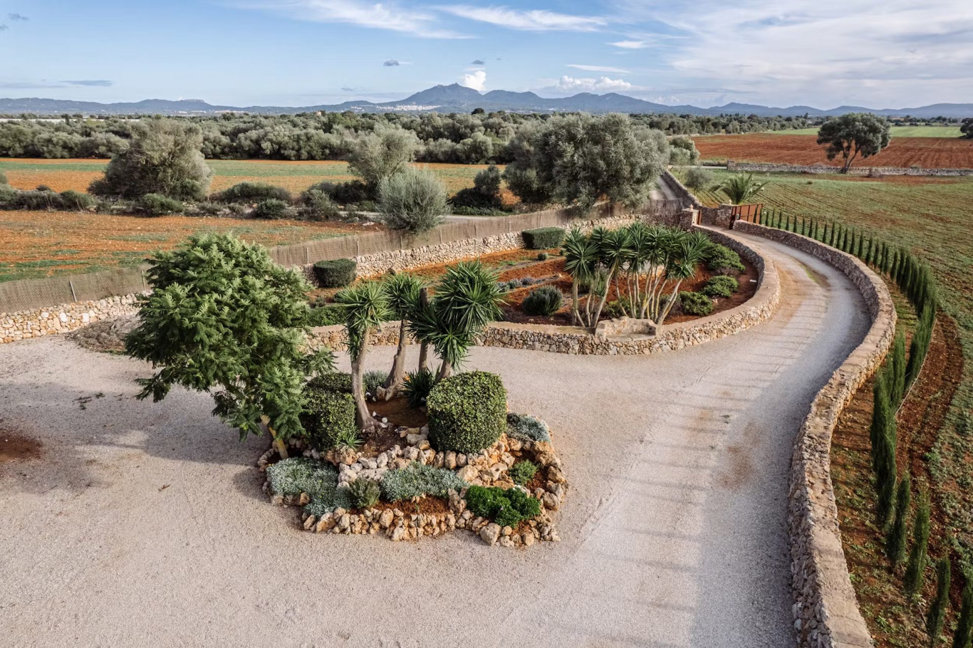 can_papaya_05042023_032335350