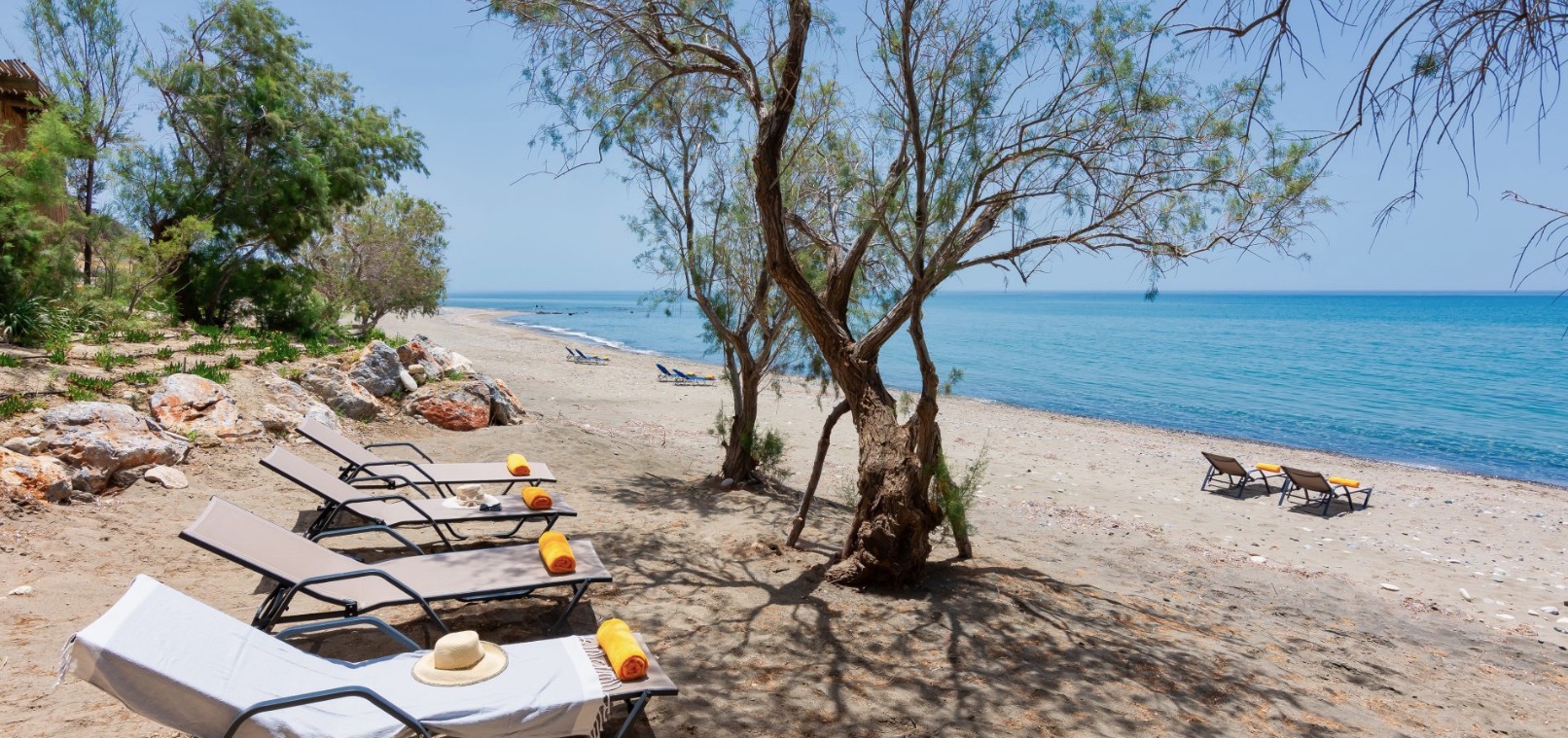 Screen Shot 2025-03-10 at 14.58.54 Screen Shot 2025-03-10 at 14.58.54