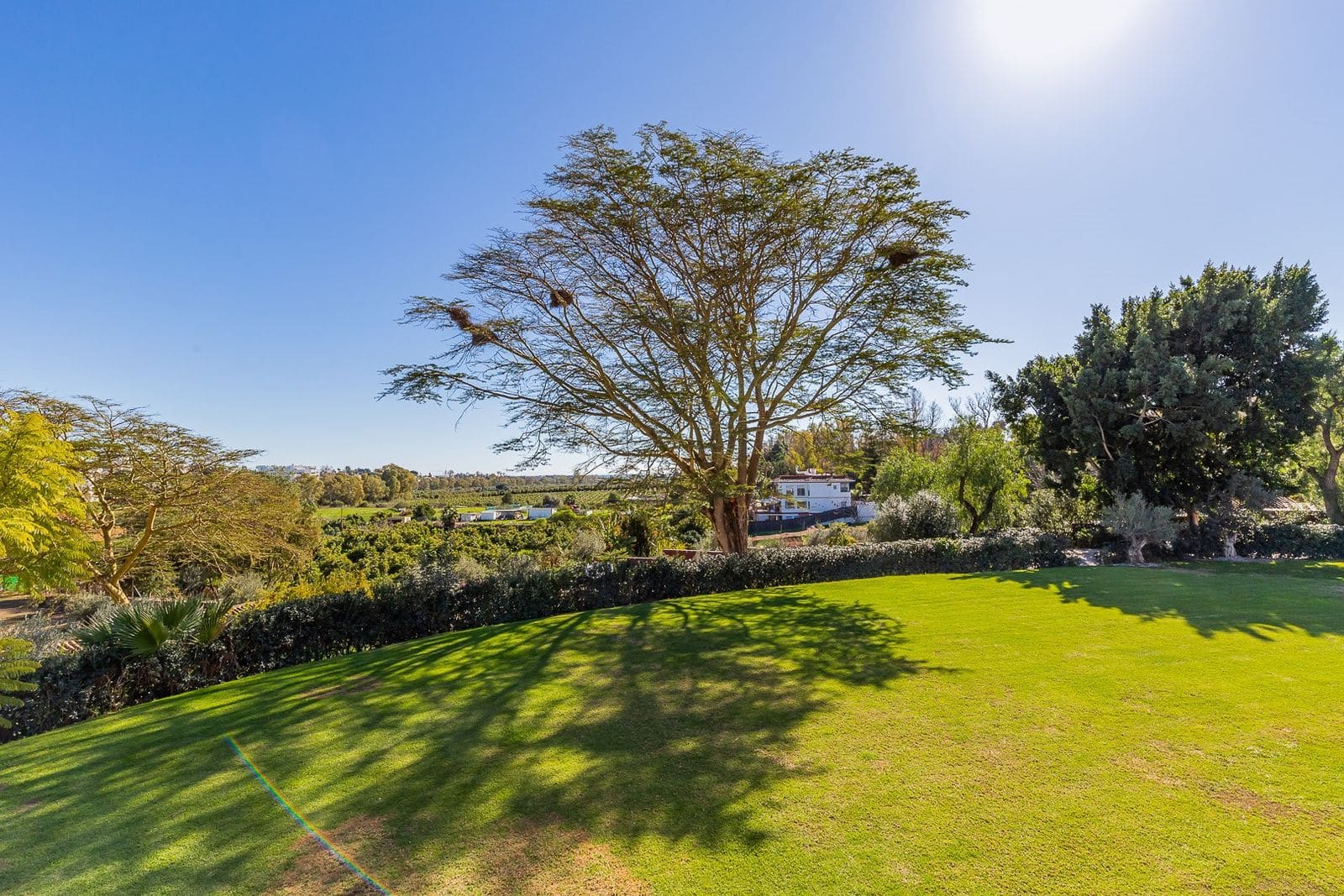 Luxury-Event-villa-Marbella-LuxuryVillaLiving-Villa-Villa-Wataru-21