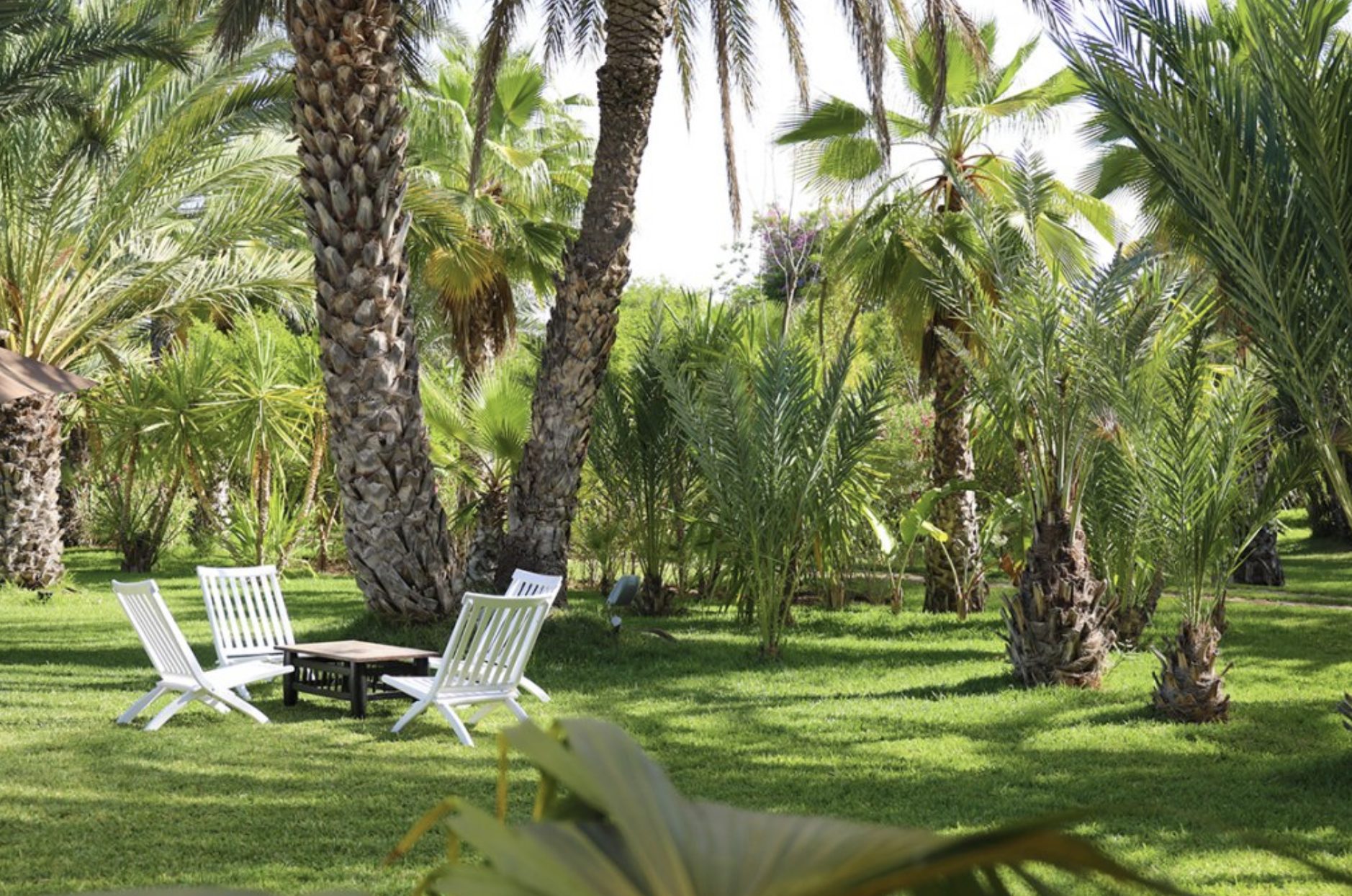 Luxury-Villa-Living-Villa-Triki-Morocco6