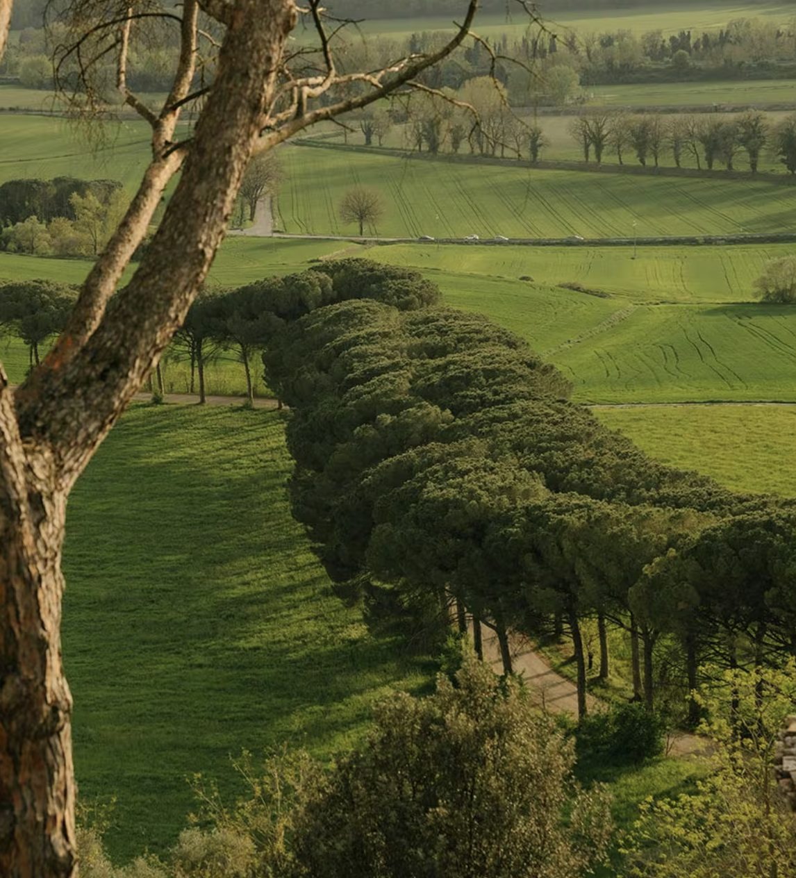 Luxury-Villa-Living-Villa-Umbria-Italy31