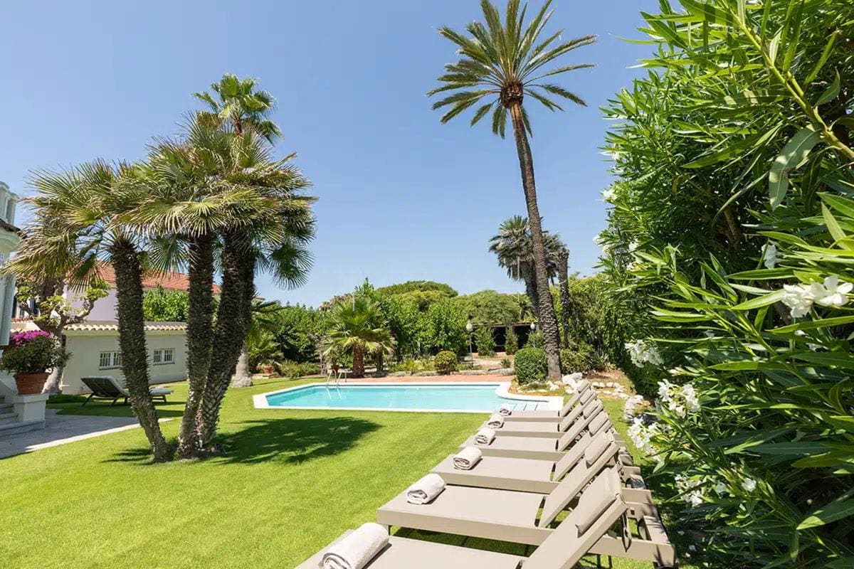 wmremove-transformed (1)