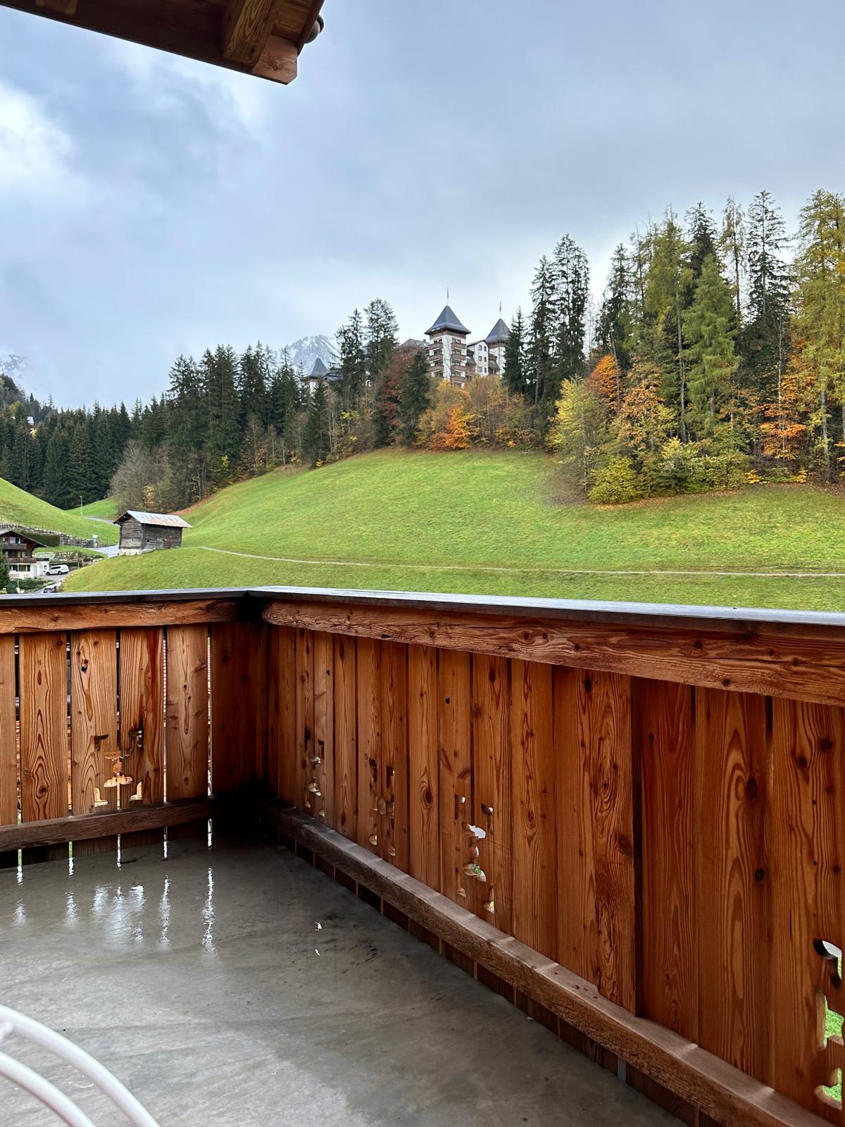 Luxury_Villa_Living_Chalet_Super_Gstaad_Switzerland21 Luxury_Villa_Living_Chalet_Super_Gstaad_Switzerland21