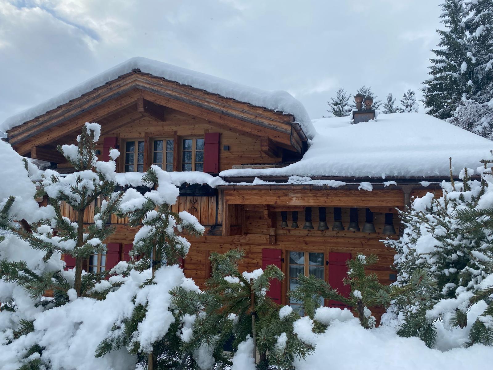 Luxury_Villa_Living_Chalet_Super_Gstaad_Switzerland31 Luxury_Villa_Living_Chalet_Super_Gstaad_Switzerland31