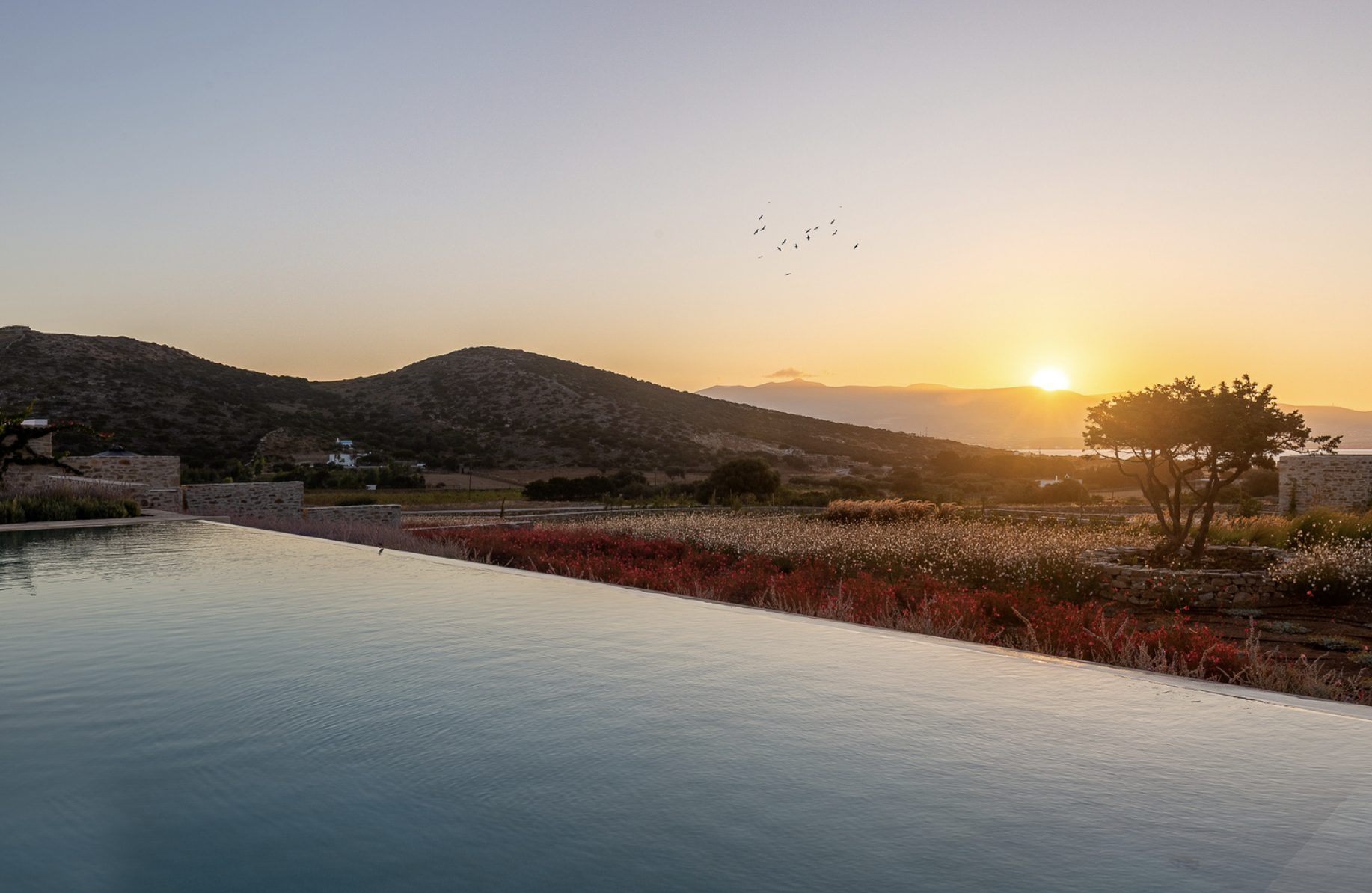 Screenshot 2026-01-15 at 13.50.40