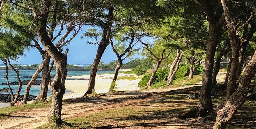 Luxury_Villa_Living_Villa_Banian_Mauritius9 Luxury_Villa_Living_Villa_Banian_Mauritius9