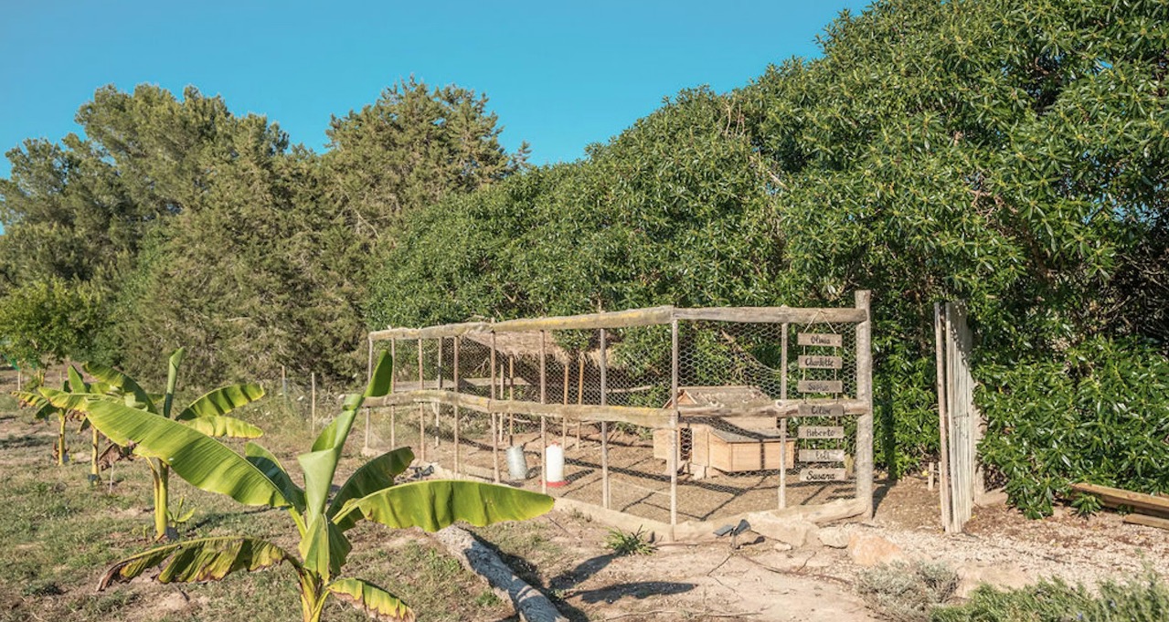 Luxury-Villa-Living-Villa-Cereza-Ibiza-11 Luxury-Villa-Living-Villa-Cereza-Ibiza-11