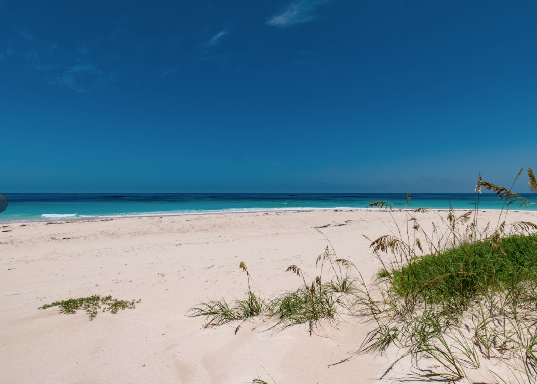 Luxury-Villa-Living-Bohemia-Estate-Bahamas-39 Luxury-Villa-Living-Bohemia-Estate-Bahamas-39