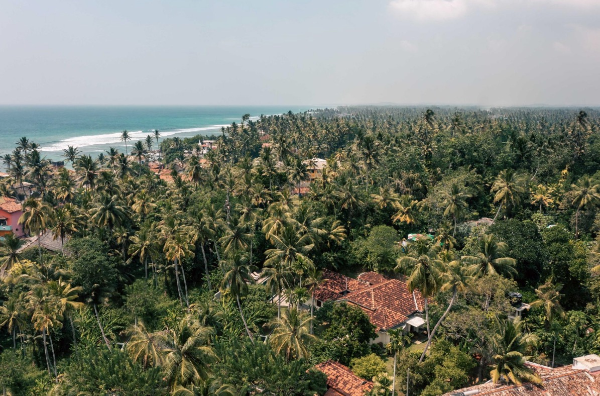 Luxury-Villa-Living-Coconut-Grove-Sri-Lanka-4