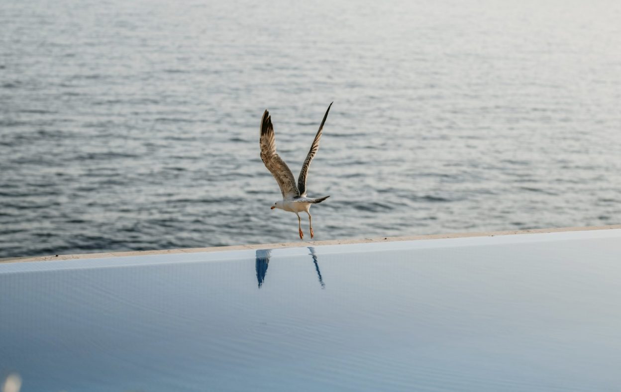 Luxury_Villa_Living_Villa_Stellar_Haven_Montenegro27